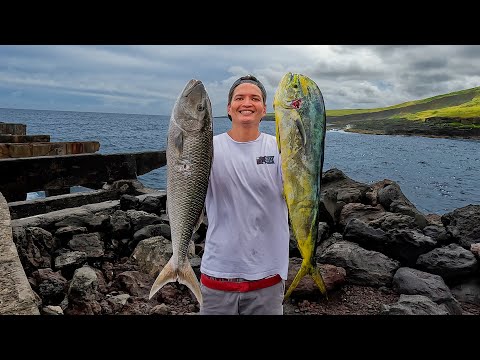 THE MOST INSANE SOLO SPEARFISHING ADVENTURE