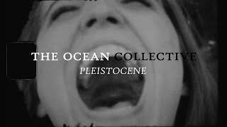 Pleistocene Music Video