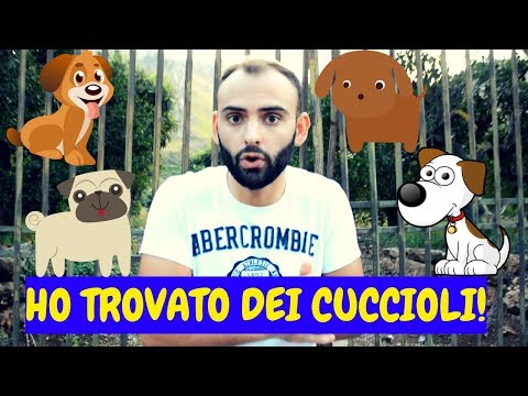 Lanalisi un calla su uova di metodi helminths Come diventare incinto a vermi