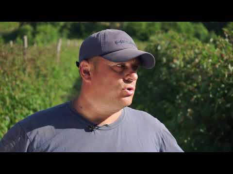 Složno, uspešno! ep. 71 27.07.2021. Žunje, Kopaonik, maline, porodica Radojević