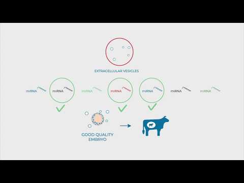 REP-BIOTECH ITN ScienceInMotion Series - ESR4