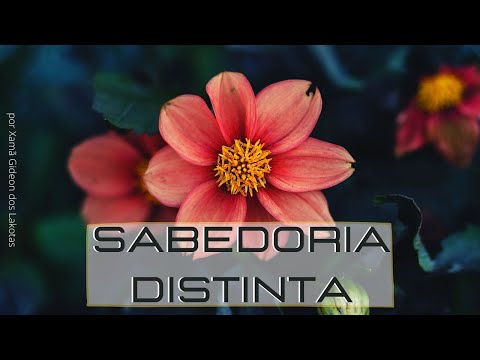 Hino 14   Sabedoria Distinta   por Xamã Gideon dos Lakotas   Hinário CNSC   Full HD