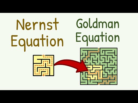 Nernst-Gleichung und Goldman-Gleichung SCHRITT FÜR SCHRITT || Nernst-Potential || Gleichgewichtsp...