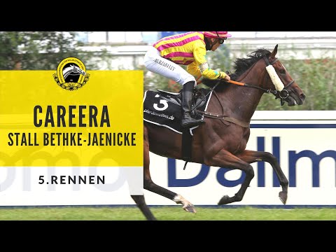 Vollblut Bayern: Dallmayr Crema D'Oro-Rennen