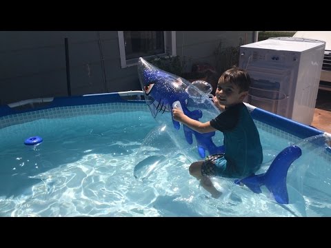 Shark Float Box Opening with Erik