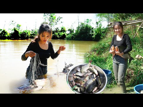 Fun Day on the Farm - Harvesting FISH & CORN Go to Market Sell - Pet Care and Cooking | Country Life