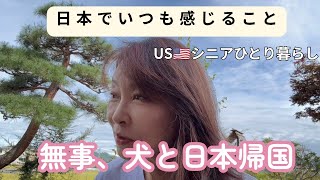 USシニアひとり暮らし/犬と日本帰国!日本で帰るたびによく感じること