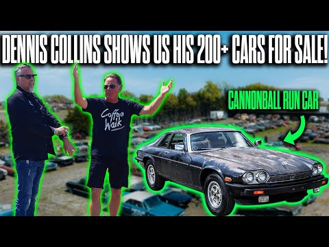 Unglaublich! Über 200+ Oldtimer-Nester