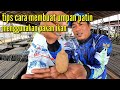 Cara Membuat Umpan Jitu Ikan Patin Sungai Pakai Pakan Ikan Cp Prima 885