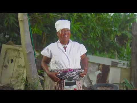 Taresa Fernandes - Nha Dona