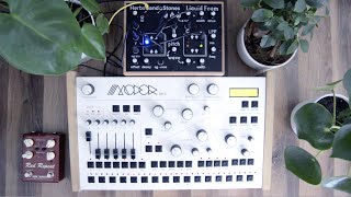 Video thumbnail for Modor DR-2 Drum Machine & Liquid Foam synth from Herbs and stones Jam by Dziam Bass