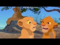 The Lion King Nala Bath Zazu Scene
