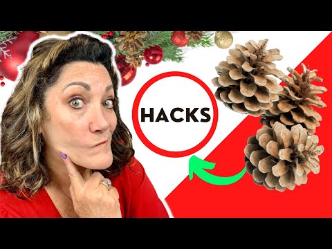 YouTube video about Add a Rustic Charm to Your Holiday Decor with Pinecones