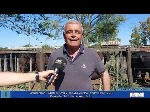 04-11-22  - Ricardo Arzoz - Remate de Arzoz y Cía & Sucesores de Brivio  - Tres Arroyos, Bs.As.