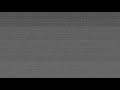 FREE DOWNLOAD Vhs Overlay Vhs Effect Tv Scan Lines Overlay B W