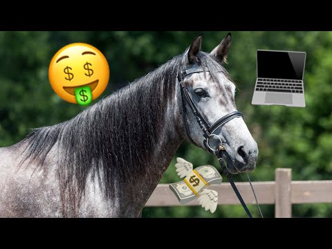 download lagu mp3 mp4 How To Sell A Horse, download lagu How To Sell A Horse gratis, unduh video klip How To Sell A Horse