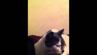 Madlib - rapper x radio - mms5