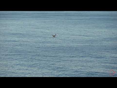 Meditation: Erschaffe Reichtum in deinem Leben