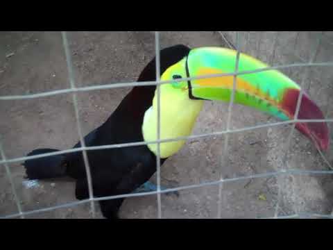 Playa del Carmen, Mexico..  Exploring the Mayan Riviera in the Yucatan Peninsula