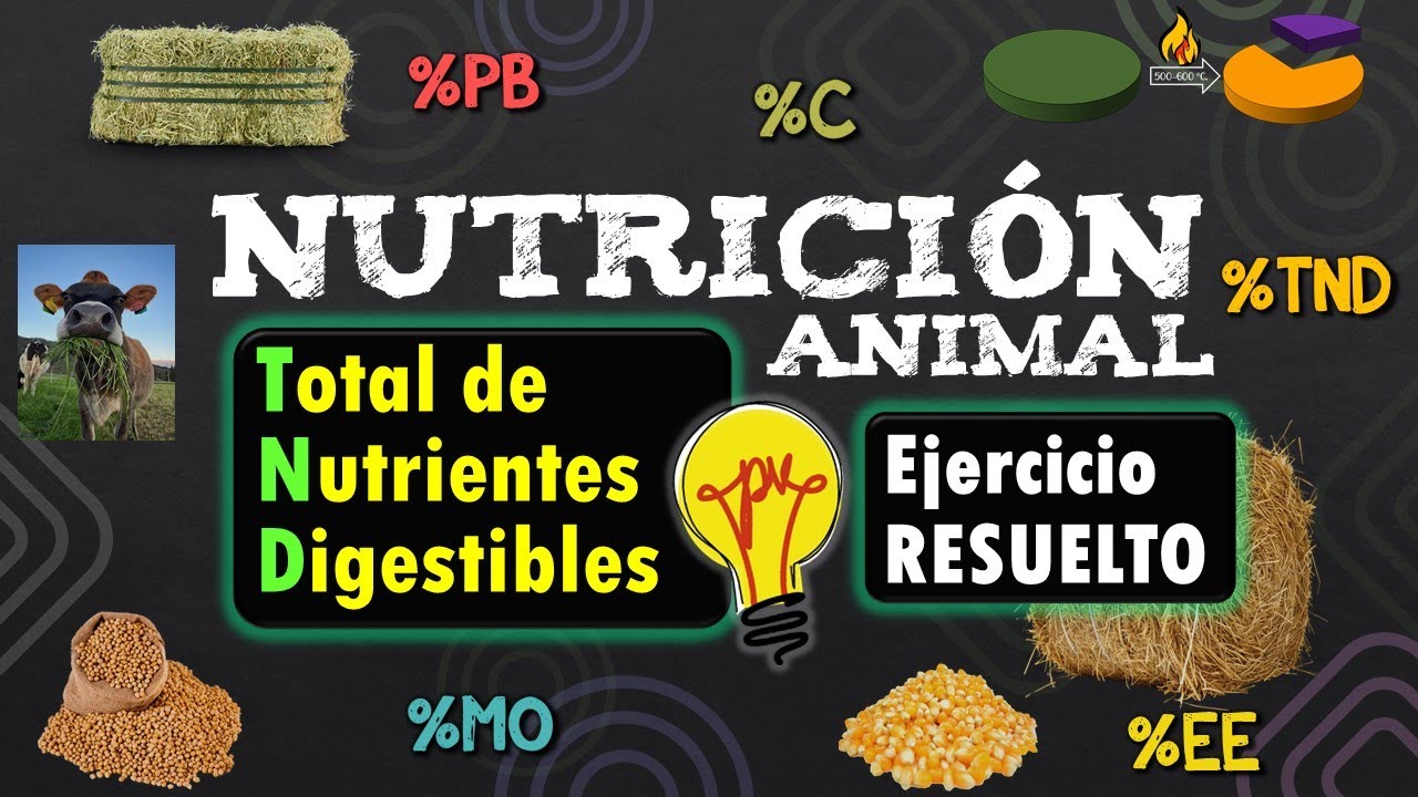 Miniatura Clase 1