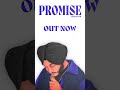 Riar Saab - Promise [out now]