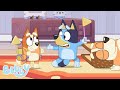 Correre con Bluey | Bluey Italiano Canale Ufficiale