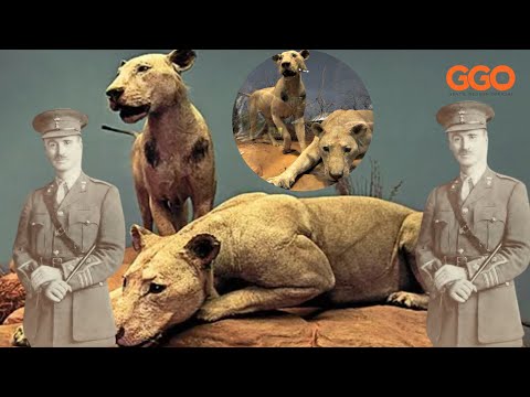 INTARE ZA TSAVO/KENYA NIZO ZARIYE ABANTU BENSHI MU MATEKA|COMANDO PATTERSON MURI OPERATION YO KUZICA