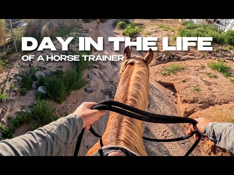 Day in my life training reining horses | Futurity, Derby & Colts