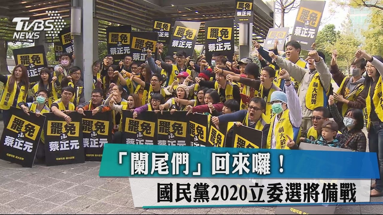 「闌尾們」回來囉! 國民黨2020立委選將備戰