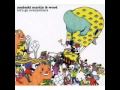 medeski martin and wood   the train song