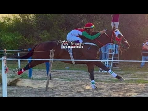 Sadam vs Relampago (Hipico Monteagudo - Tucumán