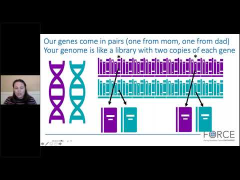 The ABCs of Cancer Genetics