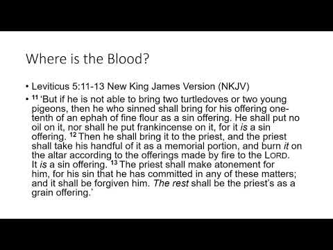 Clouds of Torah Presents: Is blood the only way to atone for sins? Your church is hiding knowledge!!
