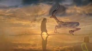 Walk Through The Bottomland, Emmylou Harris &amp; Lyle Lovett (desculță prin iarbă)