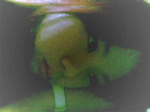 Cant lose you video