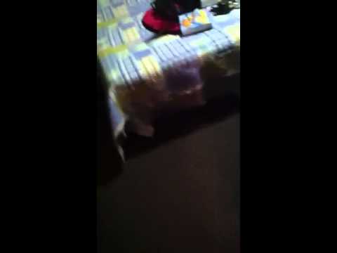 Budget inn still open?