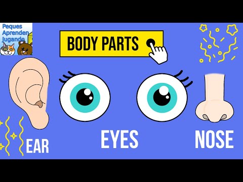 Partes del Cuerpo en Inglés para Niños Peques Aprenden Jugando