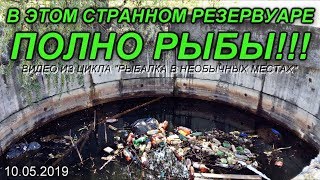 Сведения о рыбах и местах их ловли