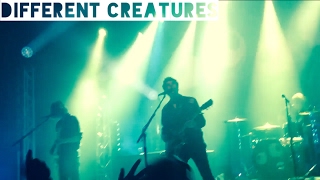 Circa Waves - Different Creatures (Live at Manchester Academy)