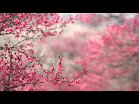 Dan Stone vs Ashley Wallbridge feat. Elleah - Keep The Baltic Fire (NaVe Mashup)