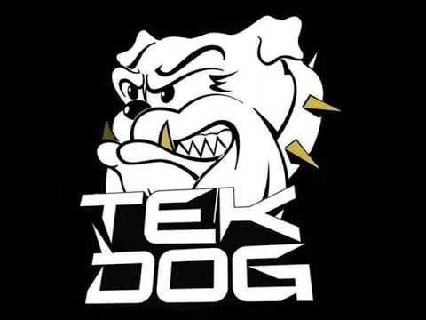 Tekdog - Funny junkie