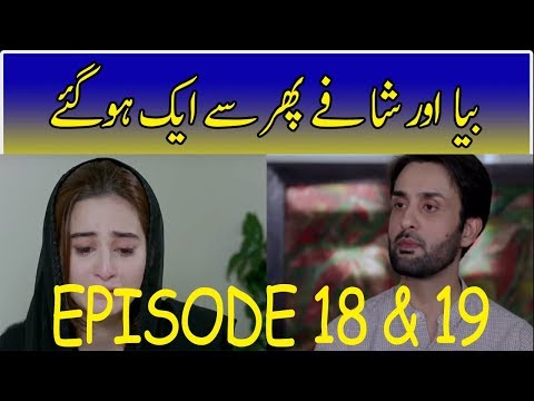 Bay Dardi Episode 18 & 19 - 16th july 2018  -  ARY Digital