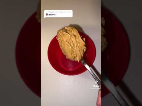 ゴキブリを簡単に駆除する方法！￼