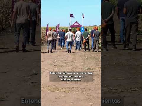 Así se vivió un nuevo #MIB en la ciudad de Alcira Gigena #EnTodas