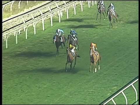 Galoppo 18/12/2016 - 6ª corsa