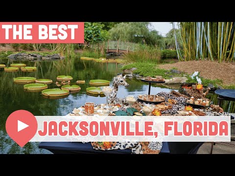The Most Fun Things to Do in Jacksonville, Florida
