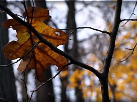 ESO 2 Na tobi dube....wmv