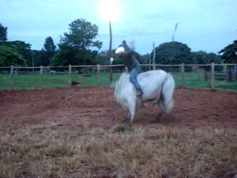 absinto da monte alto x rodrigo.MPG