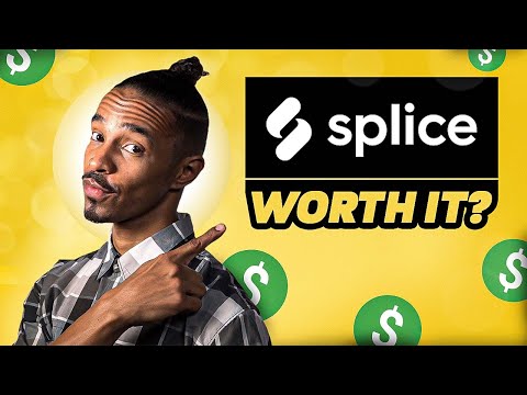 Splice Sounds Review - Is splice worth it?