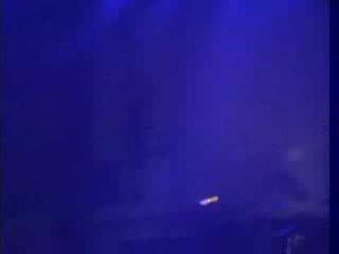 5Doni (May doni) Recent Performance